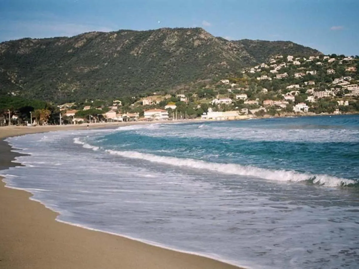 Studio 4 Couchages Avec Terrasse, Parking Et Proche Plage Au Lavandou - Fr-1-251-240 contacts